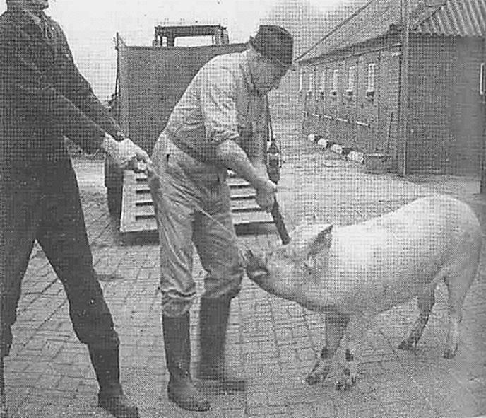 Tweede generatie vertelt: 1940-1945 - Foto: Ingezonden foto