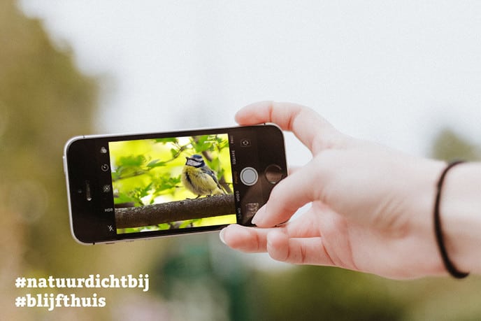 Doe mee met de #natuurdichtbij fotochallenge - Foto: Ingezonden foto