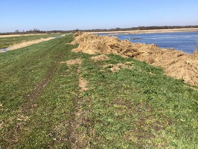Waterschap ruimt drijfafval op na hoogwater - Foto: Ingezonden foto