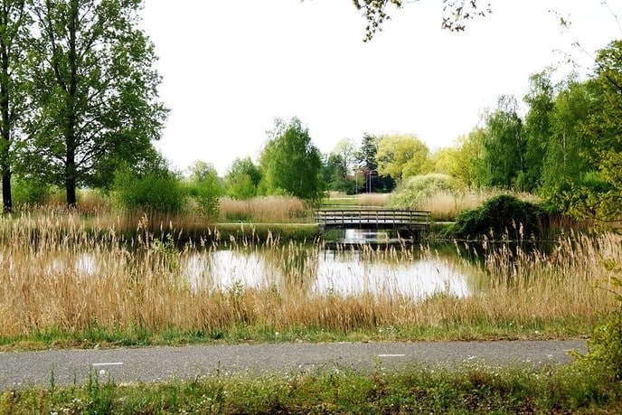 Ingezonden foto’s - Foto: Ingezonden foto