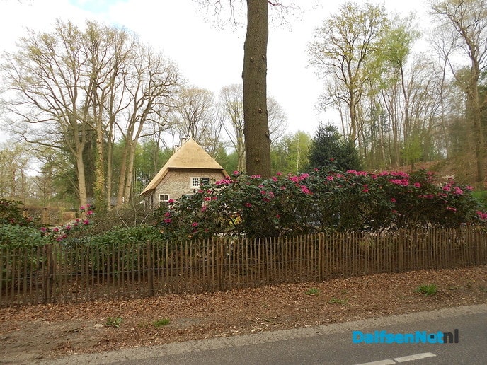 Mooie rododendrons en een mooi huis
