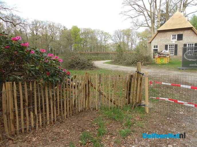 Mooie rododendrons en een mooi huis