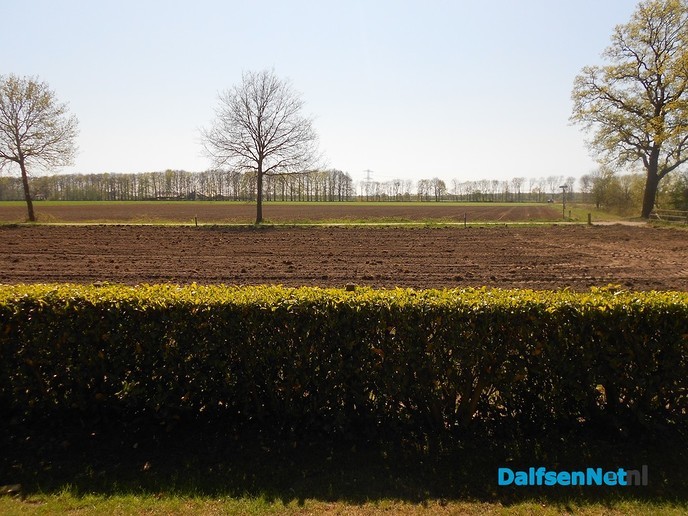 Wij krijgen een mooie zomer