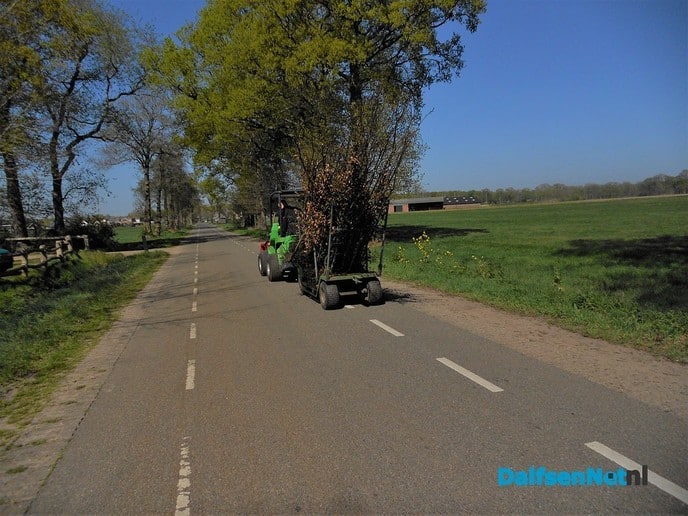 De boomkweker heeft de boel prachtig in bloei