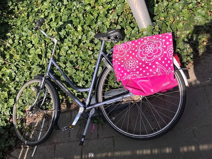 Fiets Elskamp/Langkamp (opgelost) - Foto: Ingezonden foto