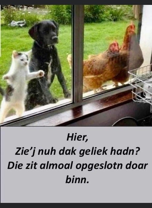 Hou vol