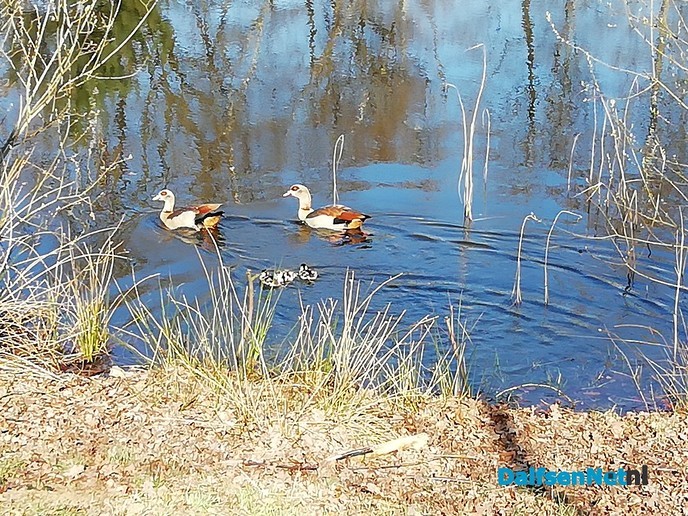 Voorjaar bij Gerner - Foto: Ingezonden foto