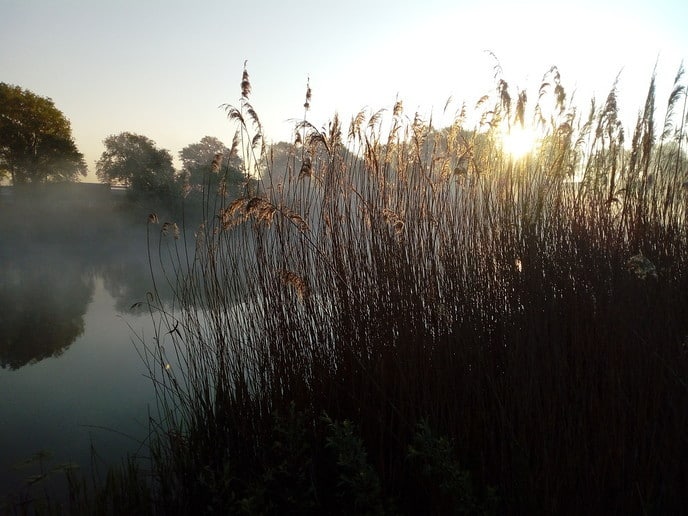 Ochtendgloren in de Bellingeweer - Foto: Ingezonden foto