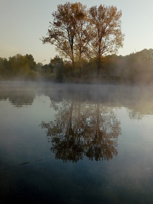 Ochtendgloren in de Bellingeweer - Foto: Ingezonden foto