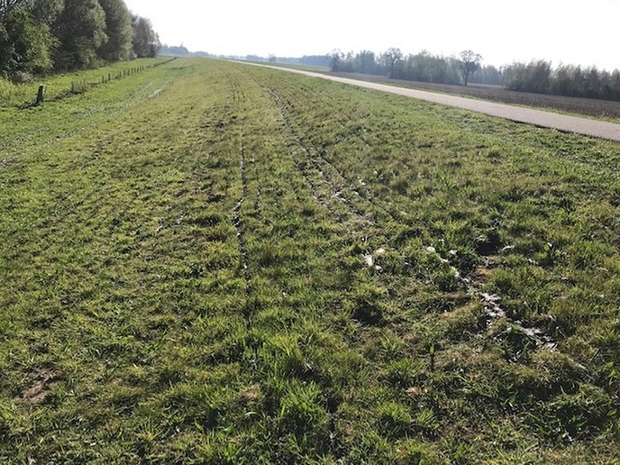Proef bemesten Vechtdijken - Foto: Eigen geleverde foto