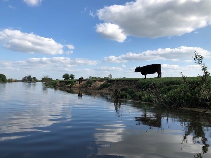 Langs de Vecht - Foto: Ingezonden foto