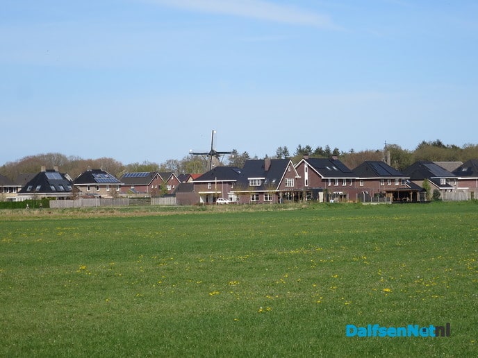 Knotwilgen langs de Marswetering - Foto: Wim