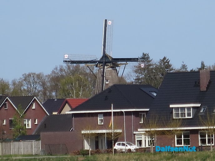 Knotwilgen langs de Marswetering - Foto: Wim