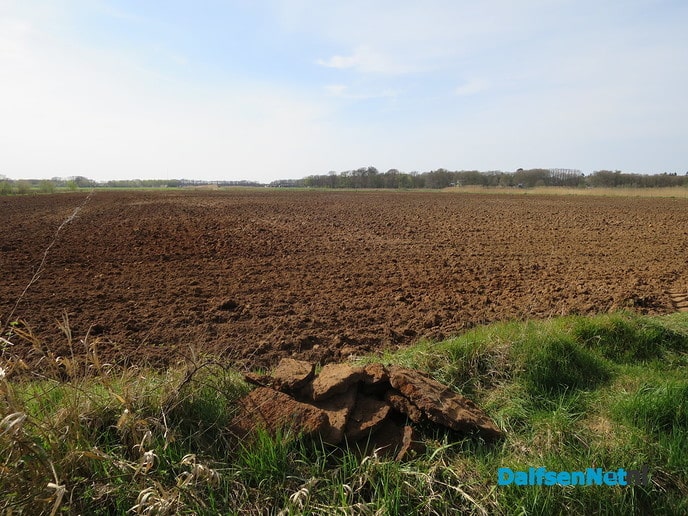 IJzeroer, ook aan de Mataramweg - Foto: Wim