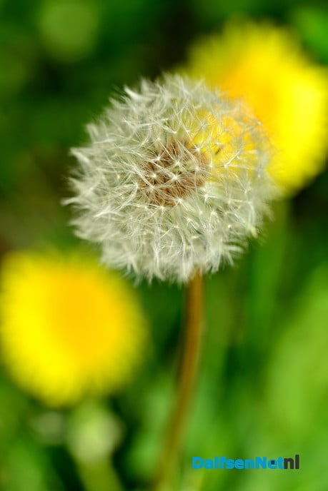 Genieten van de mooie voorjaar’s temperaturen - Foto: Ben Jonkman