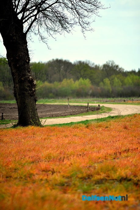 Het mooie weer lonkt voor een wandeling - Foto: Ben Jonkman