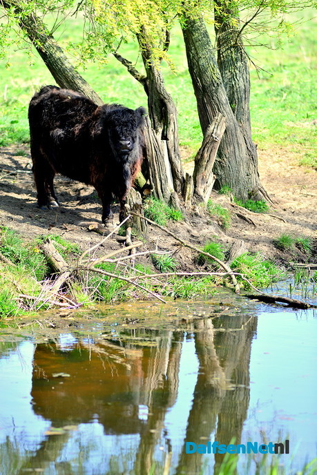 Dalfsen op z’n mooist - Foto: Ben Jonkman