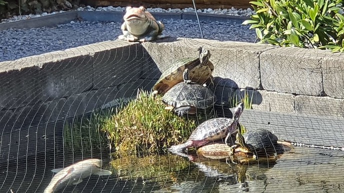 Gebrek aan zitruimte - Foto: Eigen geleverde foto