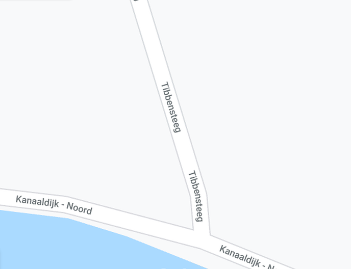 Prachtige bloeiende bomen