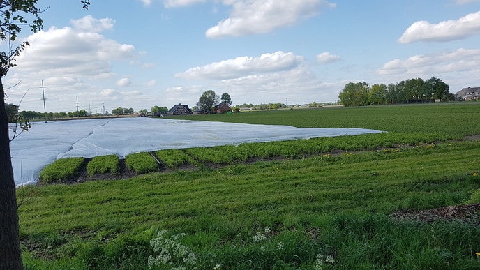 Kold op de grond - Foto: Gruune Jopie