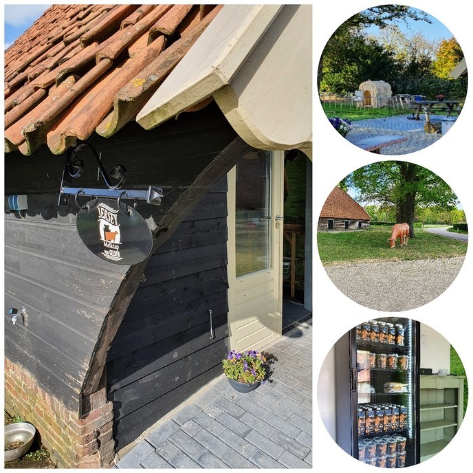 Bijzondere en lekkere melk van Jersey koeien uit Hoonhorst - Foto: Ingezonden foto