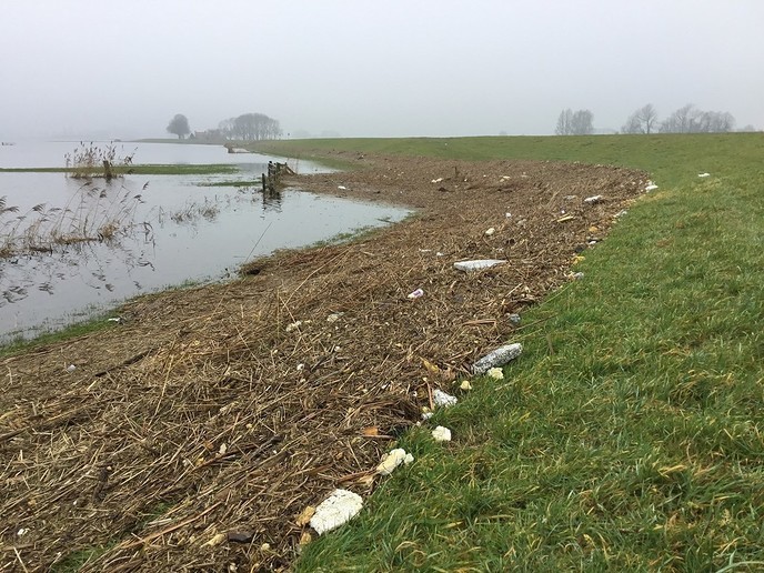 600.000 kilo drijfafval langs het water - Foto: Eigen geleverde foto