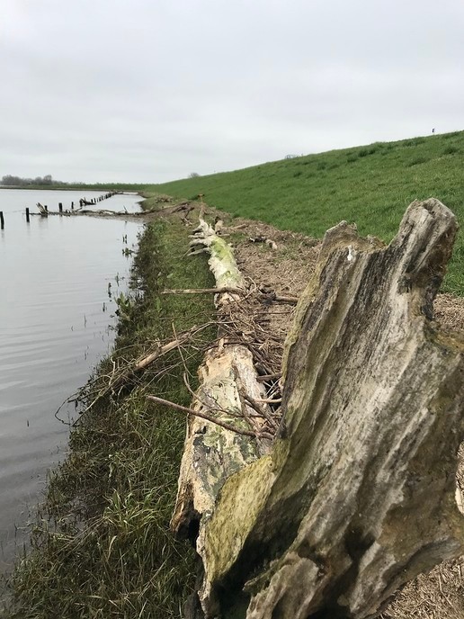 600.000 kilo drijfafval langs het water - Foto: Eigen geleverde foto