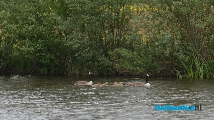 Genieten rondom Dalfsen de groene parel aan de Vecht - Foto: Johan Bokma
