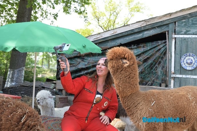 Alpacateam uut Lemelerveld volop in het nieuws - Foto: Johan Bokma