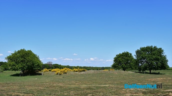 Genieten rondom Dalfsen de groene parel aan de Vecht - Foto: Johan Bokma