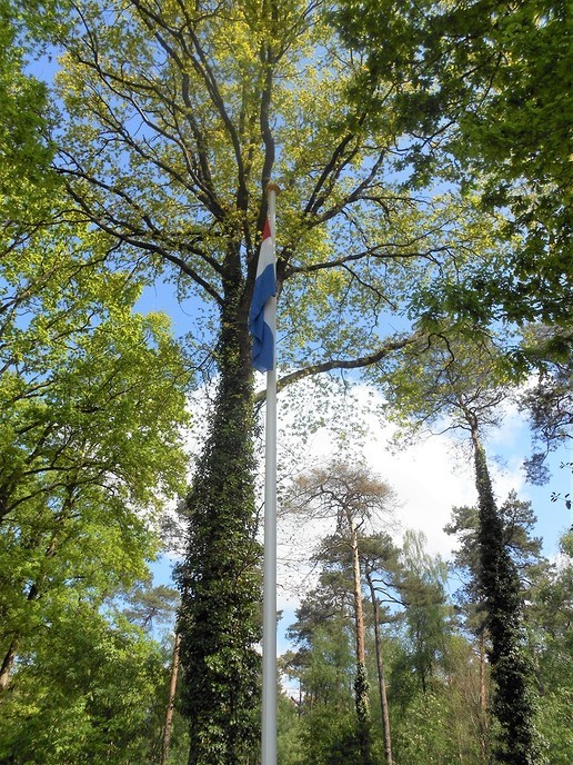 Bevrijdingsdag 5 mei