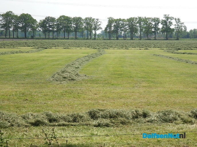Hooien