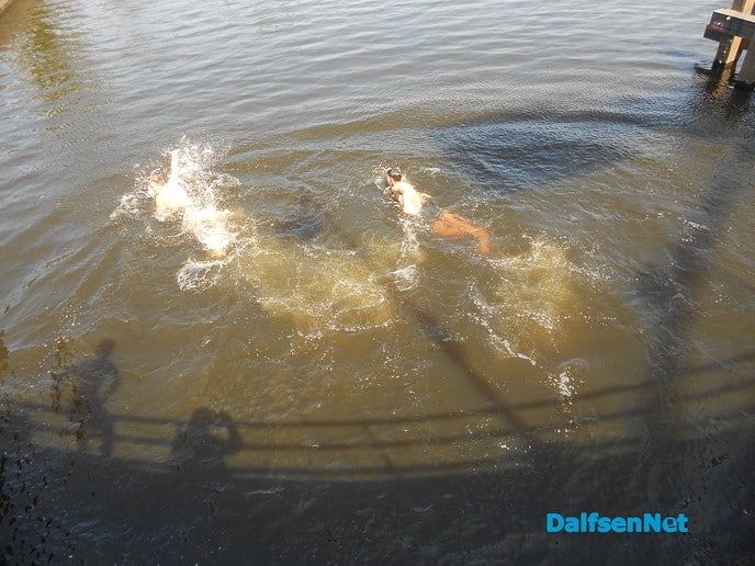 Het watersport is begonnen: Bikkels!