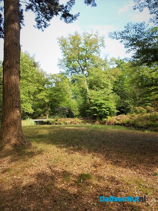 Even een paar foto’s van het mooiste stukje bos van Dalfsen