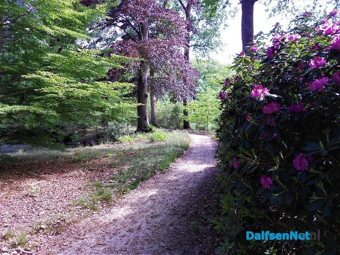 Even een paar foto’s van het mooiste stukje bos van Dalfsen