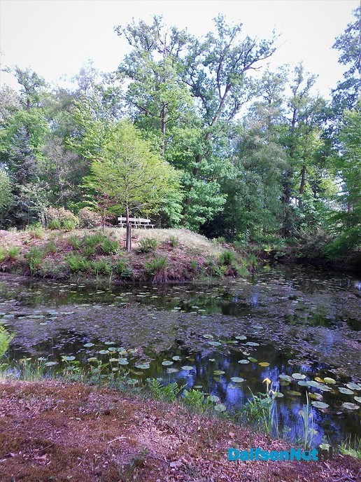 Even een paar foto’s van het mooiste stukje bos van Dalfsen