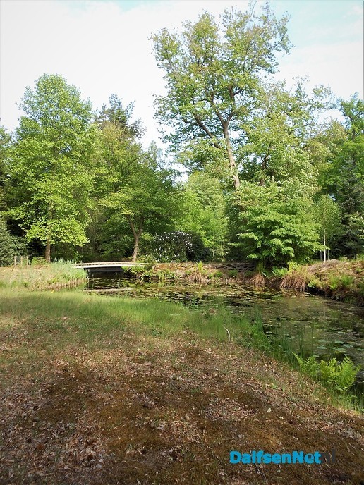 Even een paar foto’s van het mooiste stukje bos van Dalfsen