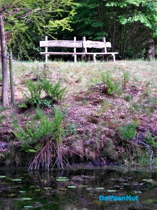Even een paar foto’s van het mooiste stukje bos van Dalfsen