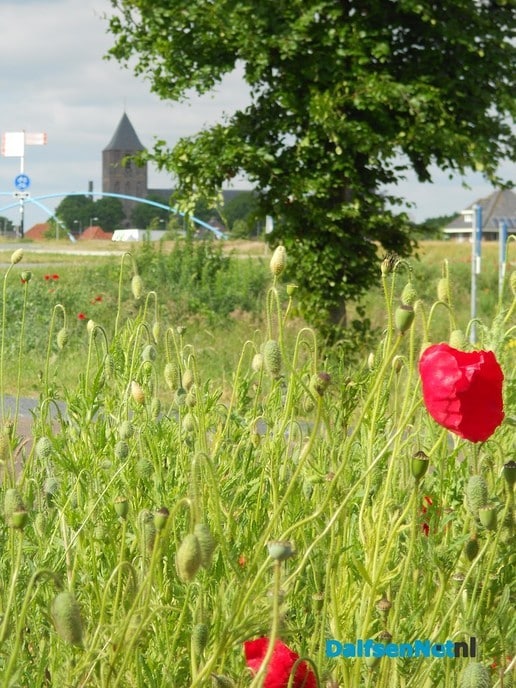 Zo mooi is Dalfsen nu