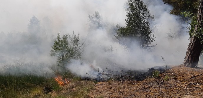 Bosbrand Besthemerberg - Foto: Politie Vechtdal
