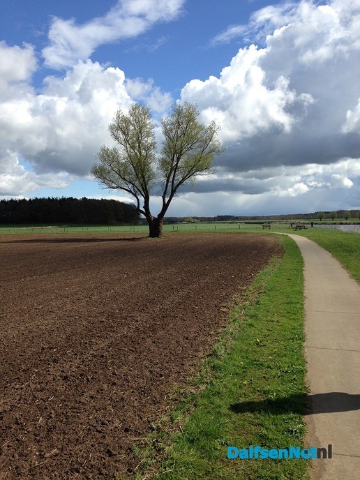 Wandelen met een vraag; coaching in de natuur! - Foto: Ingezonden foto