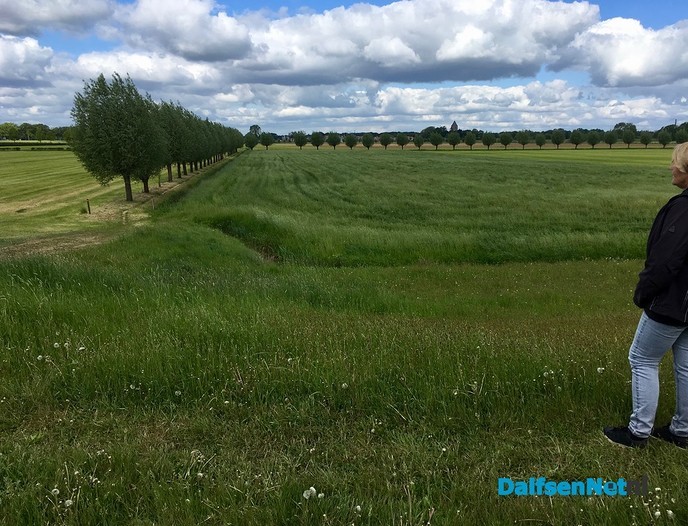 Wandelen met een vraag; coaching in de natuur! - Foto: Ingezonden foto