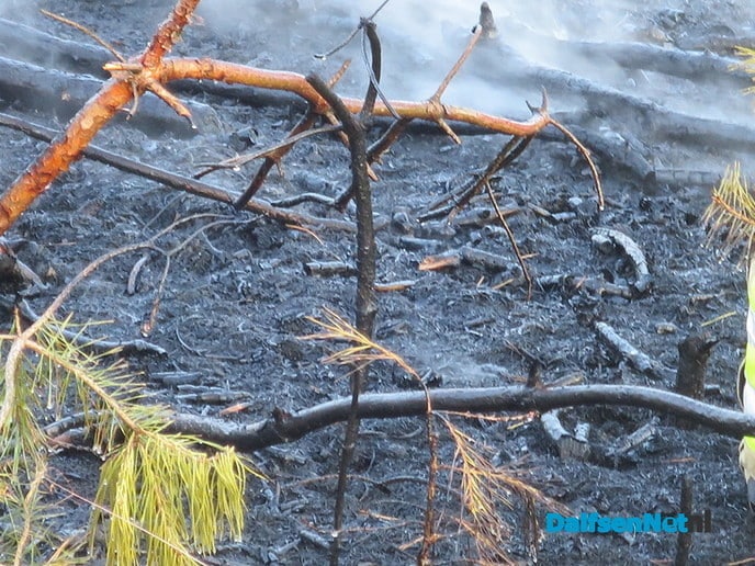 Natuurbrand Sahara Ommen - Foto: Wim