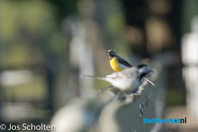 Stuw - Foto: Ingezonden foto