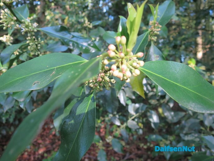 De natuur ontwaakt - Foto: Wim