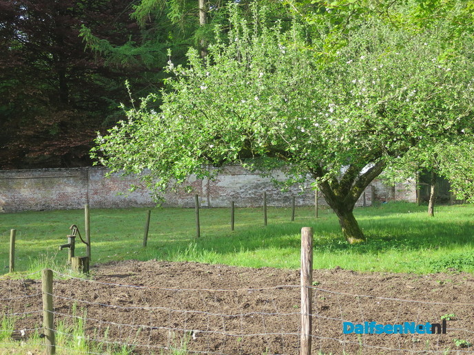 De natuur ontwaakt - Foto: Wim