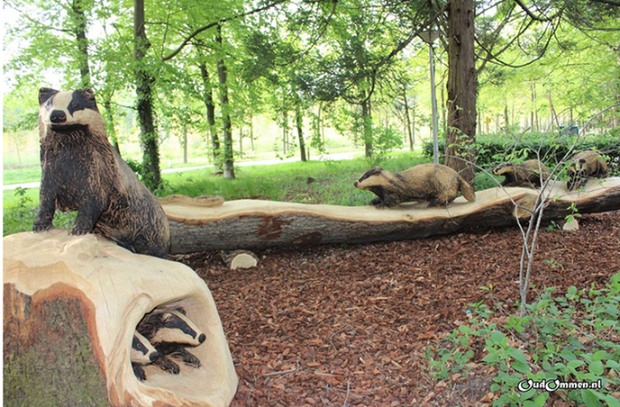 Dalfsenaar maakte kunstwerk van oude boom - Foto: Ingezonden foto