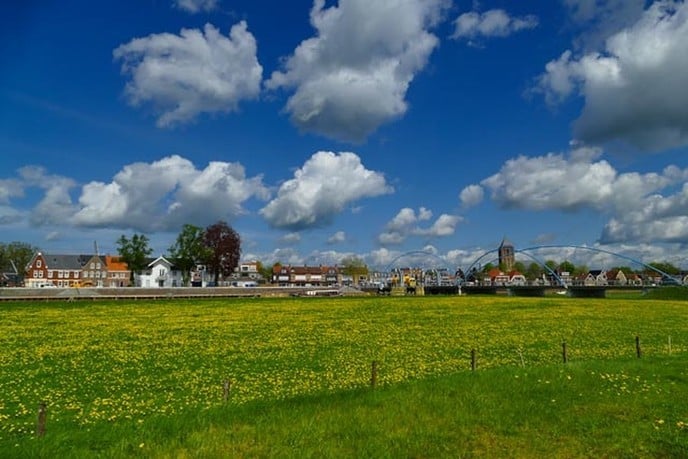 Prachtige ingezonden foto’s - Foto: Ingezonden foto