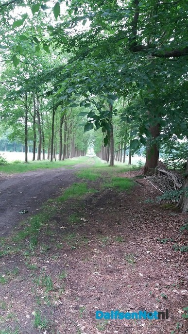 Wandel rondje - Foto: Ingezonden foto