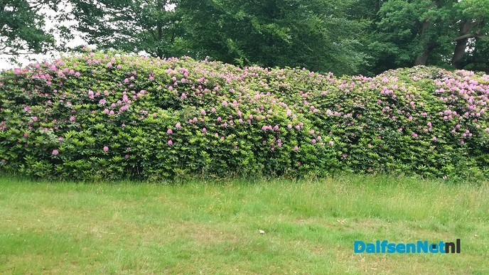 Wandel rondje - Foto: Ingezonden foto